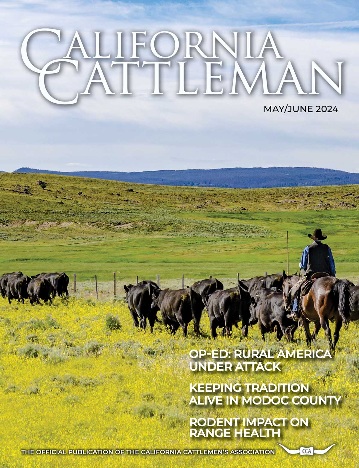 May/June Cover, cowboy moving cattle on green grass