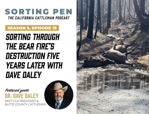 Sorting through the Bear Fire’s destruction five years later with Dave Daley