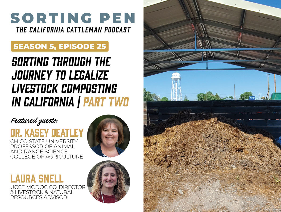 Sorting-pen-season-5-e25web