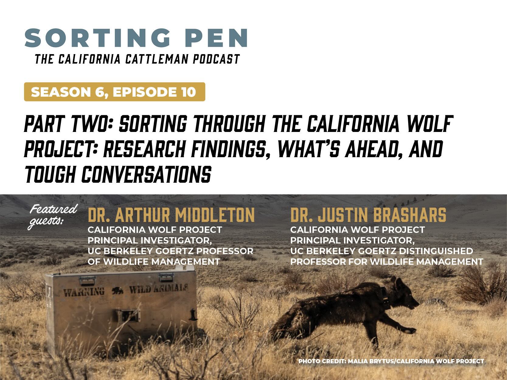 Sorting Pen Season 6 e10 web