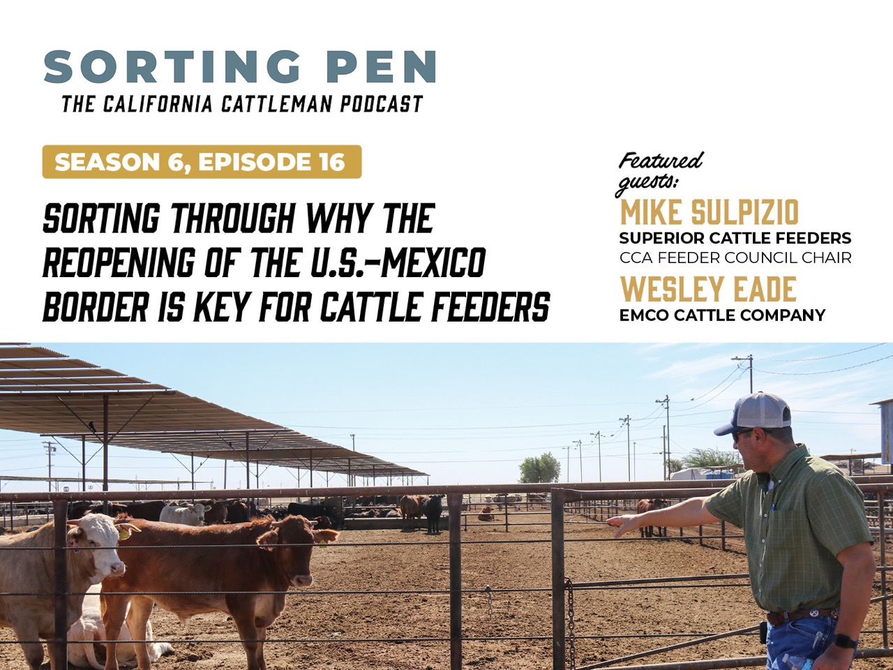 Sorting Pen Season 6 e16 Large